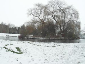 Cutteslowe Park in Snow 20 Jan 2013 022